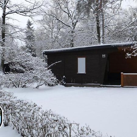 Glamping Kromlau Gablenz Ngoại thất bức ảnh